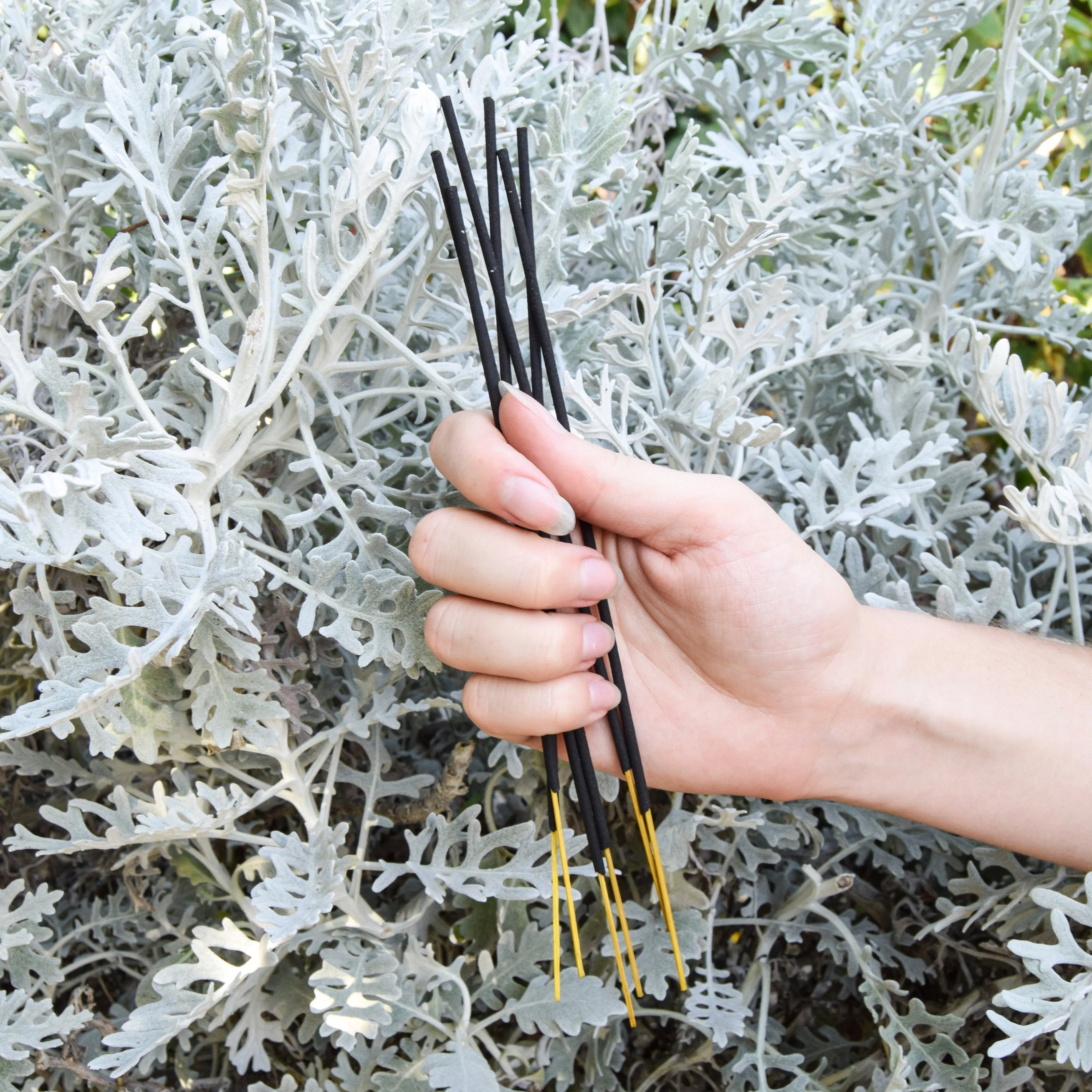 UMA Pure Calm Wellness Incense